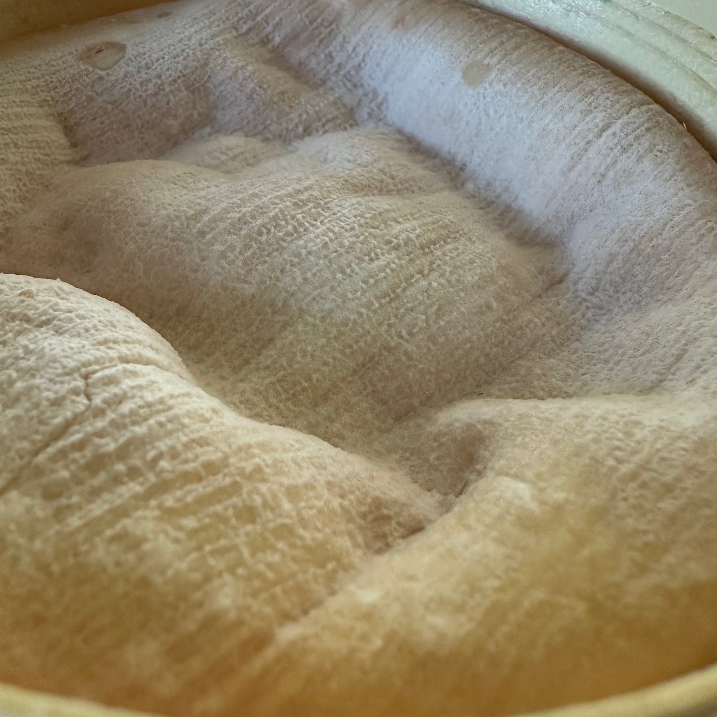 モンドール AOP 360g